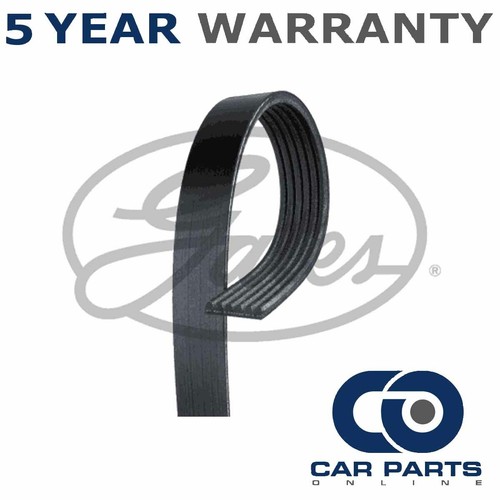 Gates ribbed belts fits - gates,