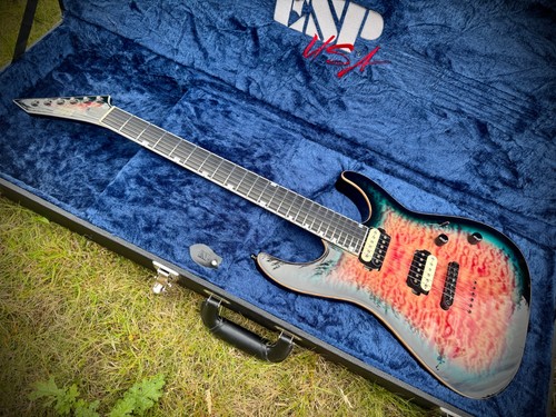 Esp usa custom shop - custom, m-ii
