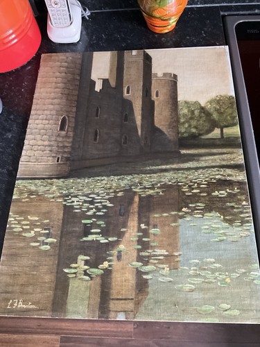 Bodiam castle lilypads old oil - bodiam,