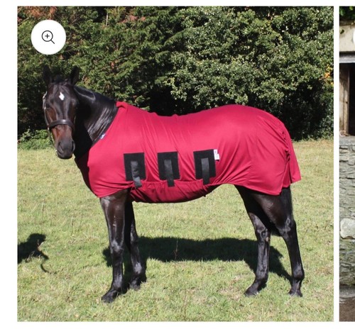 Snuggy hoods body rug - hoods,