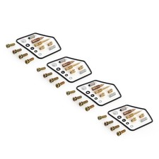 Carburetor Repair Rebuild Kit