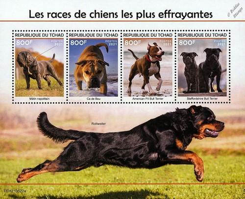 Dogs neapolitan mastiff de - dogs,