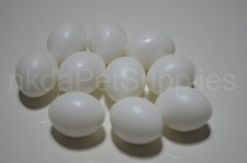 Dummy EGGS For budiges