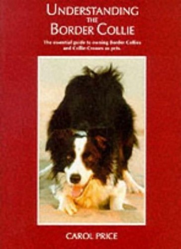 Understanding the border - understanding,