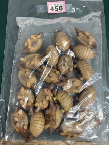 Bundle invicta glyptodon - bundle,