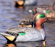 Duck Decoys set of 6 GHG Pro