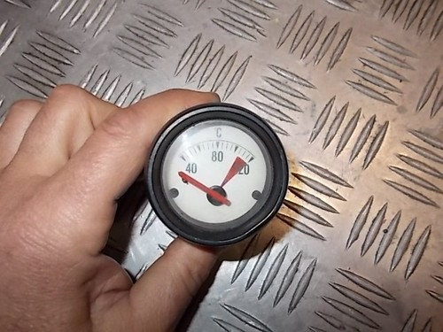 Thermometer pressure gauge