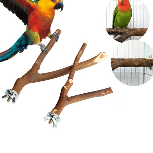 Wood parrot bird stand - bird,