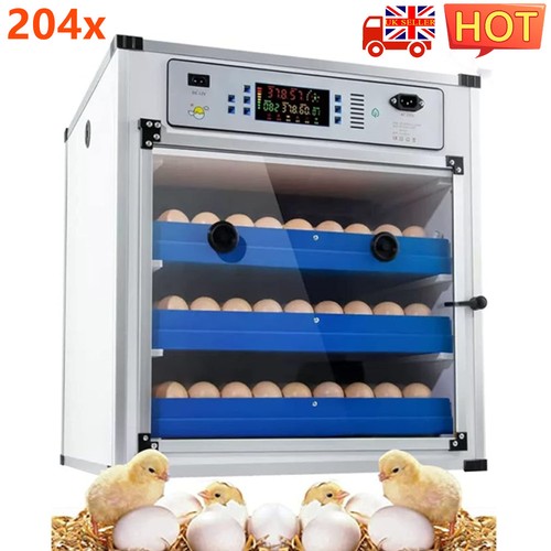 204 egg digital - digital, automatic