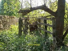 Photo 12x8 Cattle crush Hidcote Bartrim This elderly cattle crush would ha c2011