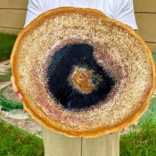 6.76LB  Beautiful Gem Coloration Petrified Wood Slab Slice Rare Madagascar