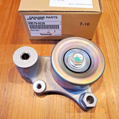Kawasaki genuine jet - kawasaki, 310r