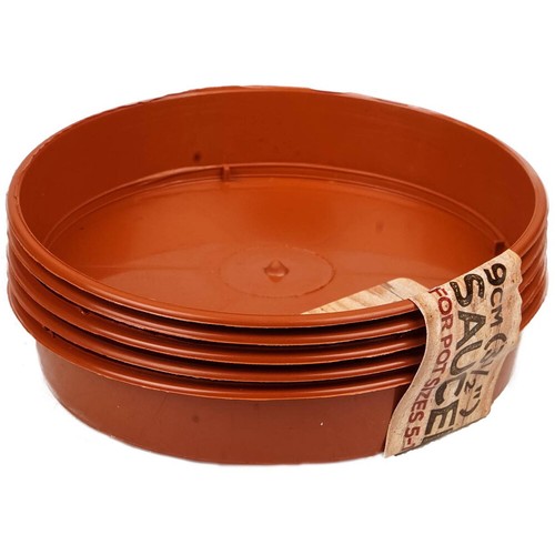Sankey terracotta plant - sankey,