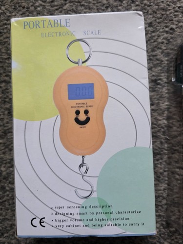 Portable digital hanging - portable,