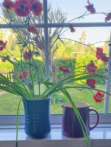 1970 green jug - tg,