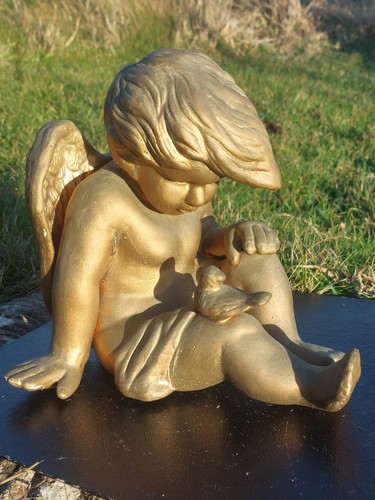Beautiful cherub gold plaster - gold,