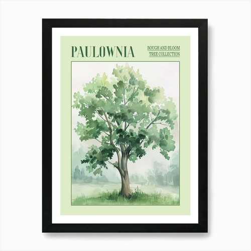 Paulownia tree atmospheric - paulownia,