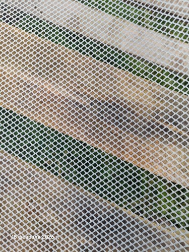 Plastic fence mesh garden - fence,
