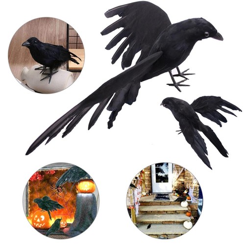 Halloween crow prop black - halloween,