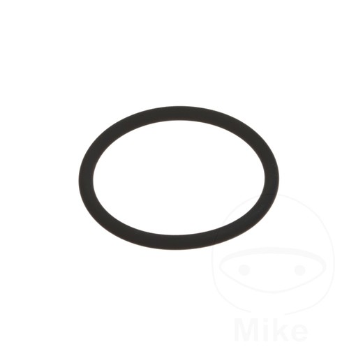 Athena exhaust gasket - gasket, o-ring