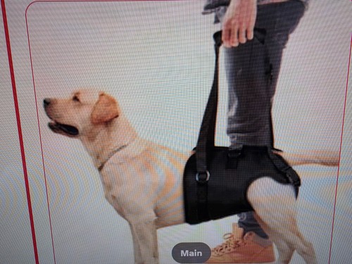 Dog support sling harness for - support,