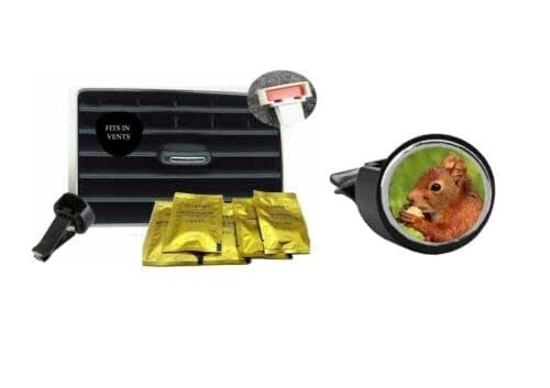 Squirrel codey37 dome car - codey37, air