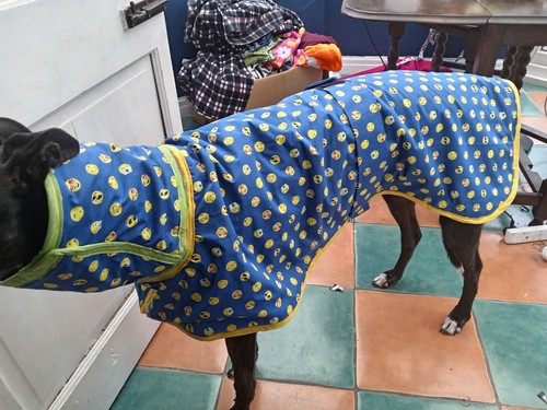 Handmade male greyhound coat - greyhound,