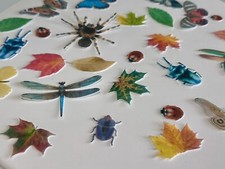 Edible creepy crawlies wafer topper - garden bugs, moths, spiders, butterflies