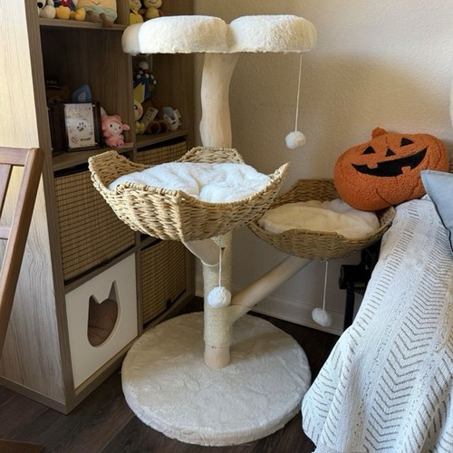 Real wood modern cat - real,