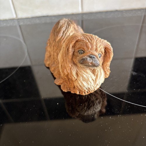 1988 castagna italy pekingese - castagna,