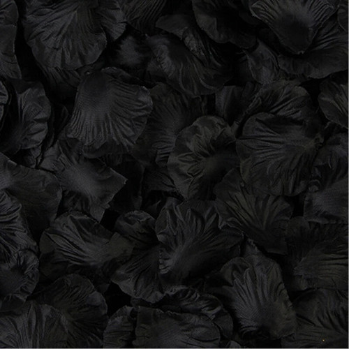 Rose flower petals - rose,