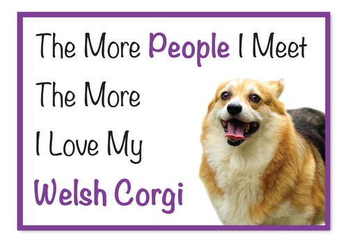The more love welsh - more, corgi