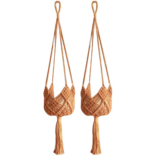 Pack plant hanger flower - 2,
