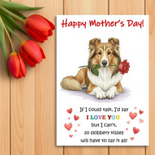 Shetland Sheepdog Mother’s