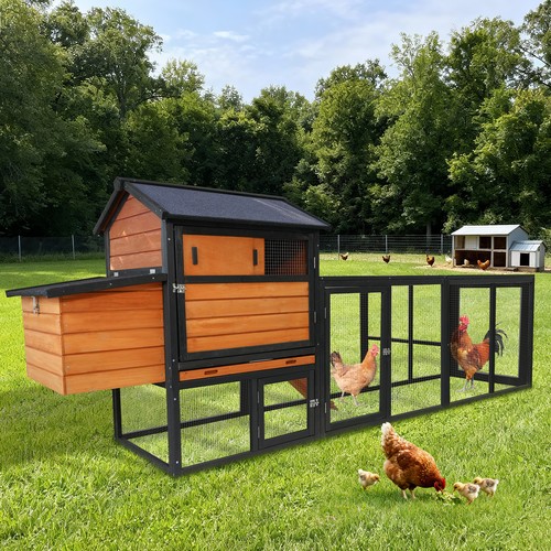 Large wooden chicken coop - large,