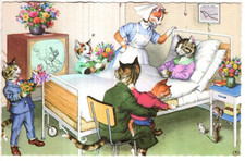 VINTAGE Postcard     ALFRED MAINZER CATS #4931  -  "YOU HAVE A BEAUTIFUL FAMILY"