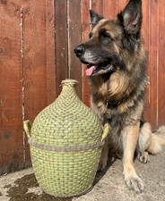 ⭐️ Vintage Antique Glass Jar Bottle Carboy Demijohn Garden Plant Pot Trough ⭐️