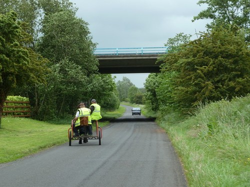Photo the trot - a1, at
