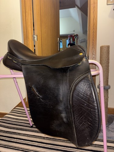 Black country showing saddle - showing,