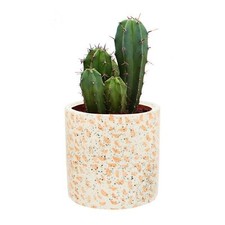 Kusso White Terrazzo Style Mirror and Plant Pot Set for Bathroom or Bedroom