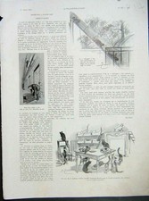 Original Old Vintage Print Cattery Cat Animal Berthier French 1935 20th Century