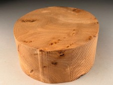 Spalted Burr Elm Wood Turning  Bowl Blanks 7x3 inch 1.3 KG