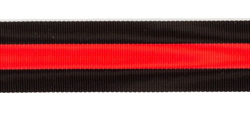 G10 german sudetenland medal - german,