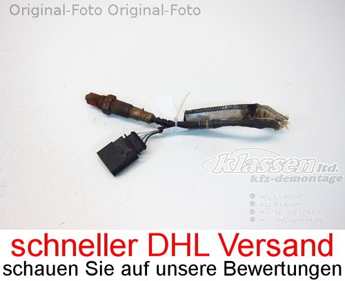 Oxygen sensor lamborghini - oxygen,
