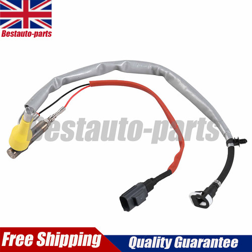 Exhaust sensor fuel vaporiser - fuel,