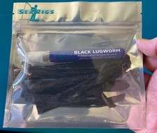 Searigs Preserved Sea Fishing Bait Welsh Black Lugworm + Natural Hydration Spray