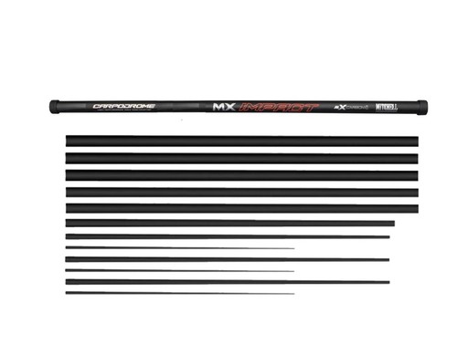 Mitchell carp fishing pole 3 - carp, +