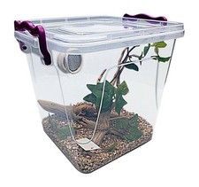 Praying Mantis,Stick Insect,Arboreal Vivarium.Enclosure BACK VENTED