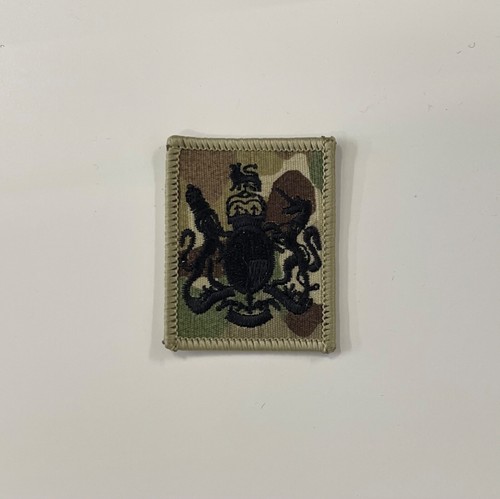 Wo1 warrant rank - mtp, multicam
