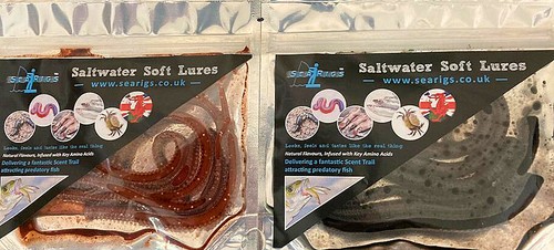 Whole black lugworm ragworm - lugworm, +